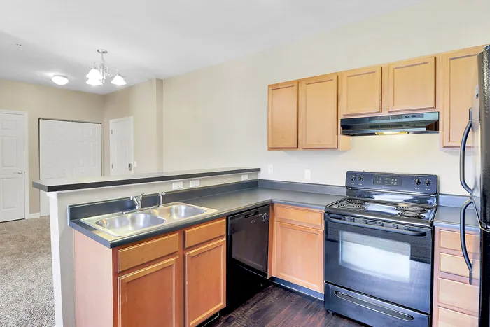 Bright and modern kitchen with sleek countertops, wooden cabinetry, and contemporary appliances, perfect for culinary enthusiasts.