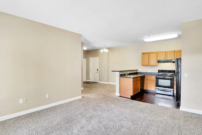 Modern open-concept living space featuring a stylish kitchen with black appliances and cozy carpeted area.