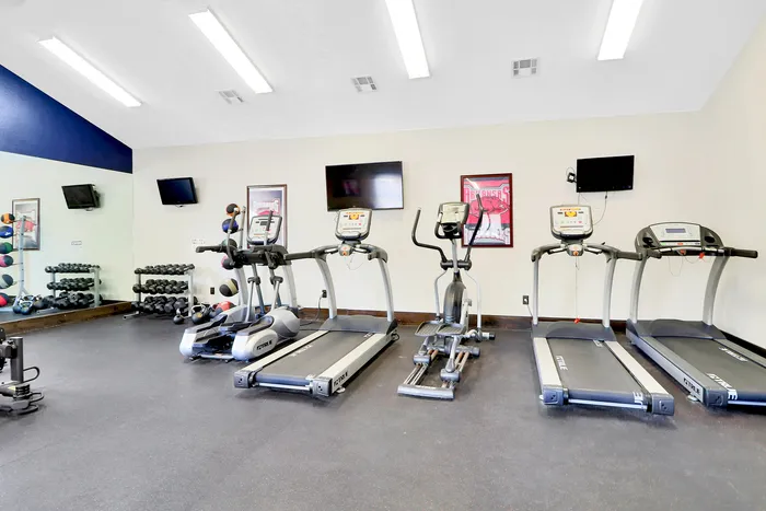 Modern fitness center featuring treadmills, elliptical machines, and a diverse selection of free weights for an invigorating workout experience.