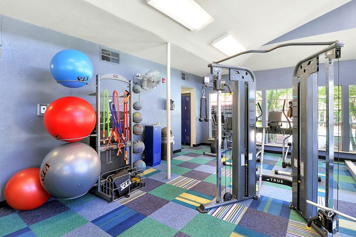 Bright and inviting fitness center equipped with modern exercise machines, colorful stability balls, and an array of workout accessories.