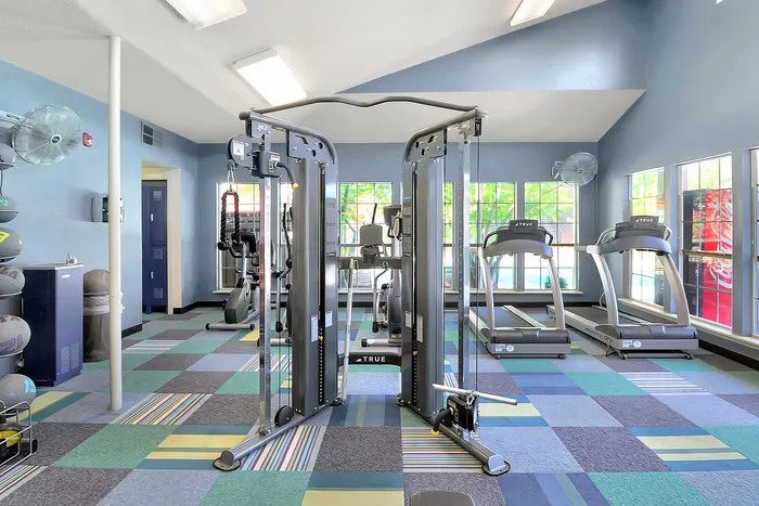 Modern gym facility with advanced exercise equipment, vibrant floor design, and natural light from large windows.