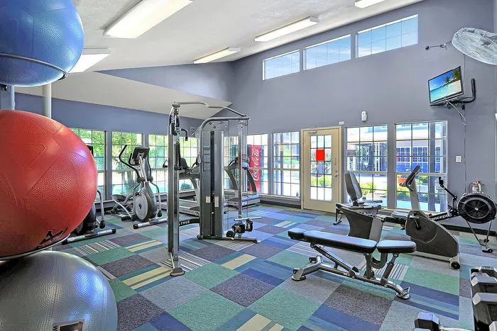 Bright and modern gym with large windows, state-of-the-art fitness equipment, and vibrant flooring for an energizing workout experience.