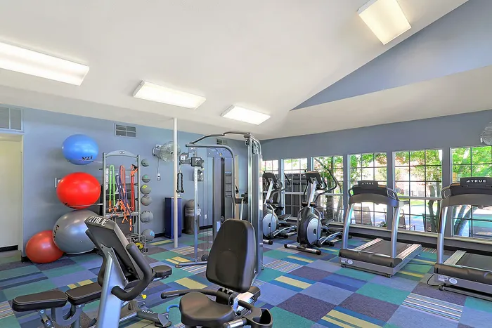 Bright and modern fitness center with state-of-the-art equipment, exercise balls, and large windows overlooking a lush outdoor area.