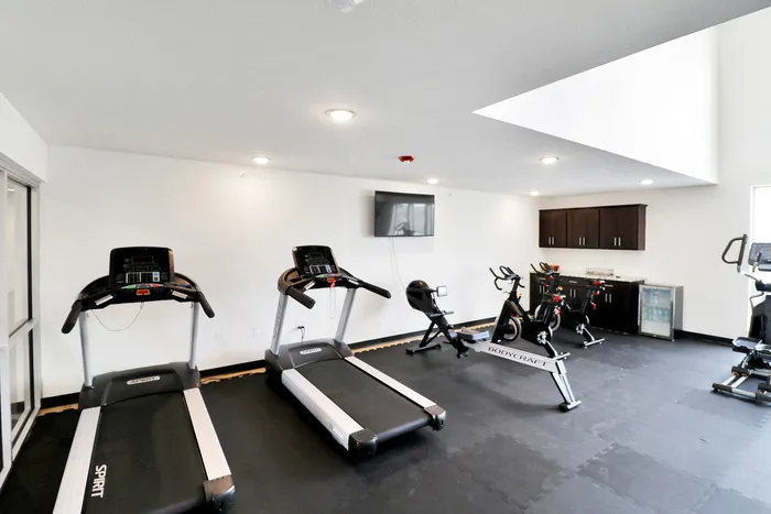 Contemporary fitness center showcasing treadmills, stationary bikes, and a sleek entertainment area.