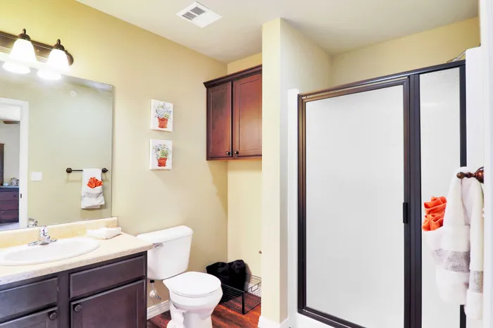Chic bathroom with elegant fixtures, large mirror, and a sleek shower, exuding a modern and cozy vibe.