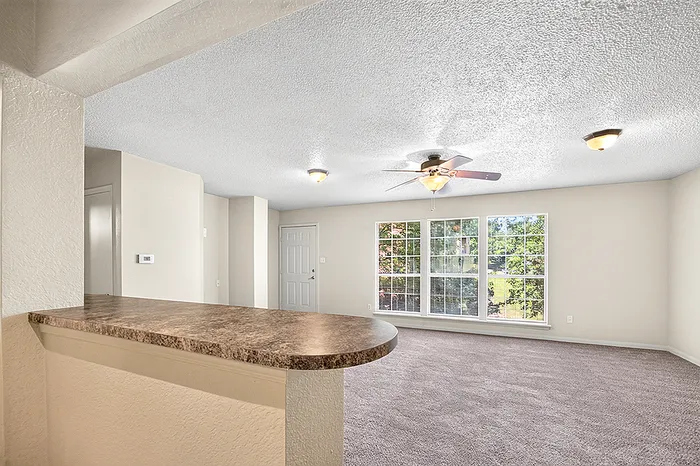 Bright and airy living space featuring large windows, plush carpeting, and a ceiling fan, perfect for relaxation and entertaining.