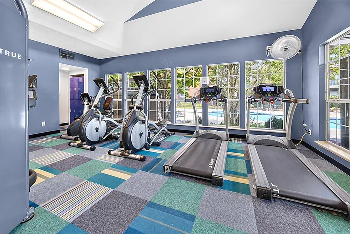 Modern fitness center with bright windows, equipped with stationary bikes and treadmills on stylish, colorful flooring.