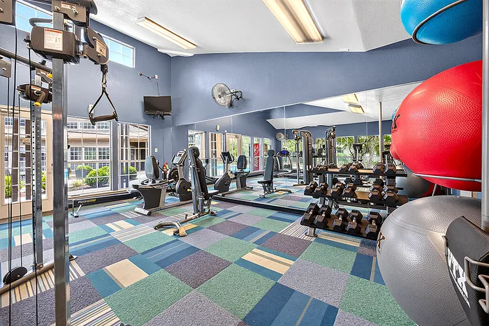 Bright and modern fitness center equipped with state-of-the-art machines, colorful flooring, and large mirrors for an optimal workout experience.