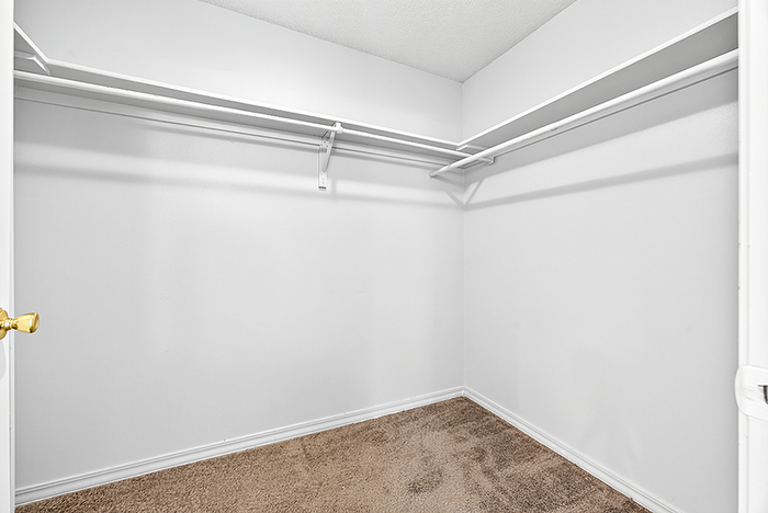 Spacious and bright walk-in closet with ample shelving and neutral carpet flooring.