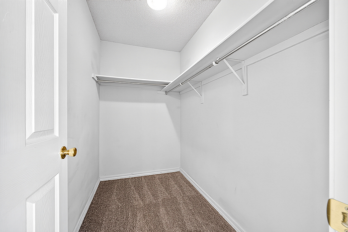 Spacious walk-in closet with ample shelving and neutral carpet flooring.