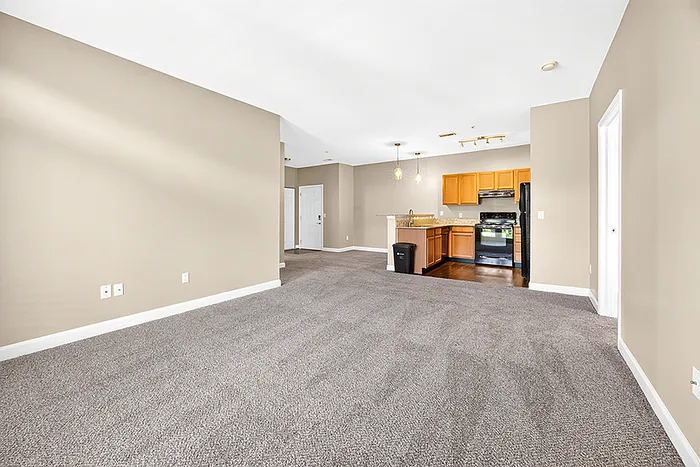 Chic open-plan living area with plush carpeting, modern kitchen with wooden cabinetry, and stylish pendant lighting.