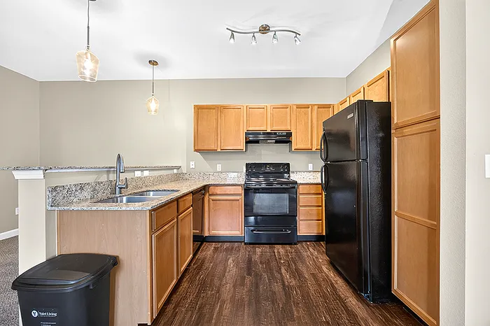 Modern kitchen with granite countertops, sleek black appliances, and elegant pendant lighting, ideal for culinary enthusiasts.