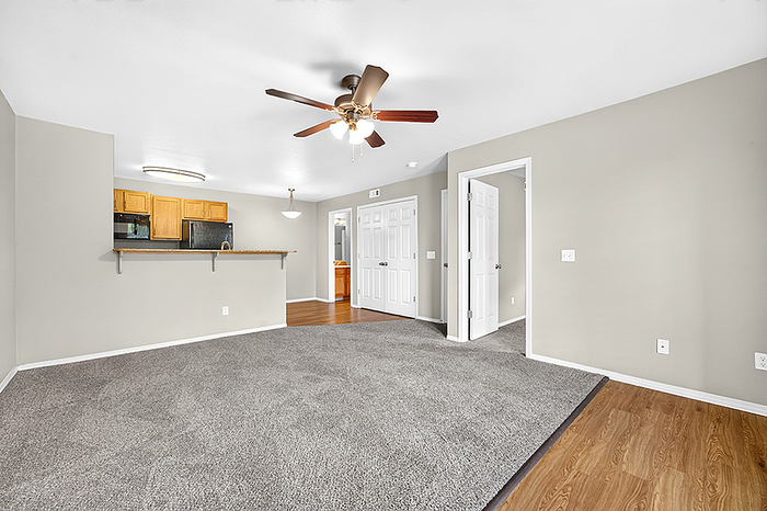 Modern open-concept living space featuring plush carpet, ceiling fan, and a cozy kitchen with wooden cabinetry.