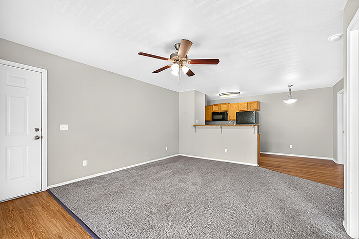 Bright open-concept living area with plush carpet and modern kitchen featuring sleek appliances and warm wood cabinetry.