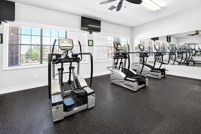 Bright and modern gym with top-of-the-line elliptical machines and large windows offering natural light.