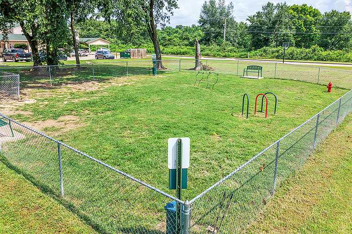 Vibrant fenced-in pet park featuring lush green grass, trees, and agility equipment for active play.