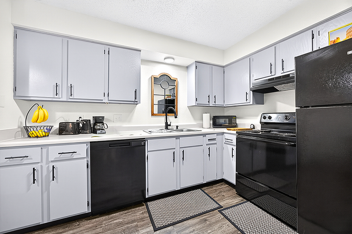 Modern kitchen with sleek black appliances, elegant gray cabinetry, and bright natural light, perfect for culinary creativity.