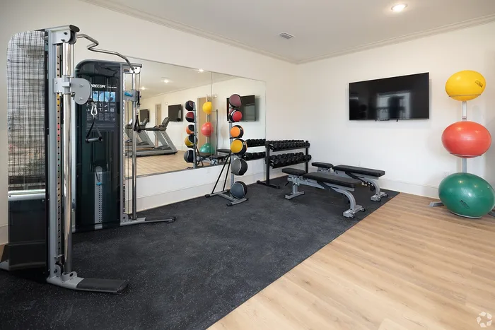 Modern home gym featuring a diverse workout station with a variety of exercise equipment, including weights, benches, and stability balls, set against a stylish mirrored wall.