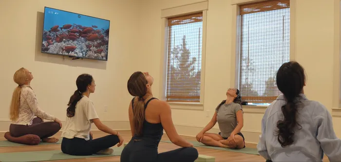 free yoga classes at the grove at bradford hills