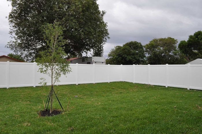 Charming backyard with new white vinyl fence and lush green lawn, accentuated by a freshly planted tree and serene surroundings.