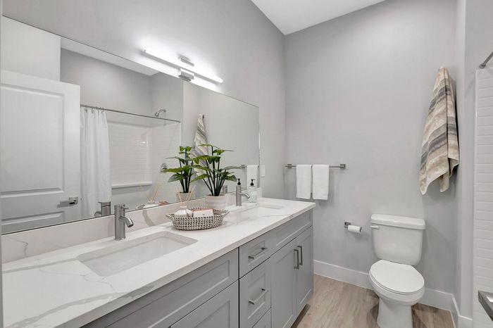 Modern bathroom featuring dual sinks, elegant gray cabinetry, and contemporary decor accents for a spa-like experience.