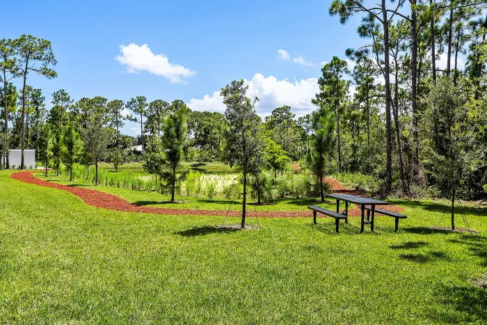 Outdoor amenity area featuring a picnic table on a green lawn next to a winding red-mulch walking trail, surrounded by young trees and backed by a dense forest under a bright blue sky.