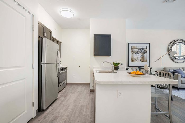 Contemporary kitchen with sleek stainless steel appliances, elegant countertops, and a view of a cozy living area adorned with modern decor.
