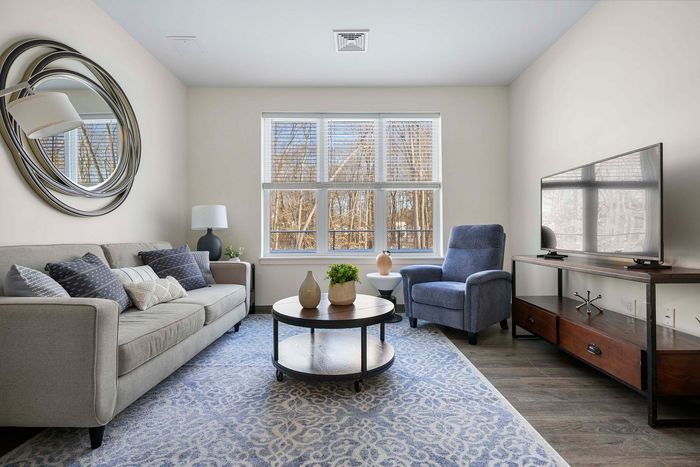 Bright and cozy living room with large windows, stylish couch, elegant mirror decor, and modern entertainment setup.
