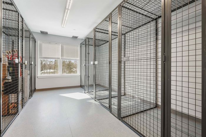 Bright and secure storage facility with ample sunlight and spacious metal cage units.
