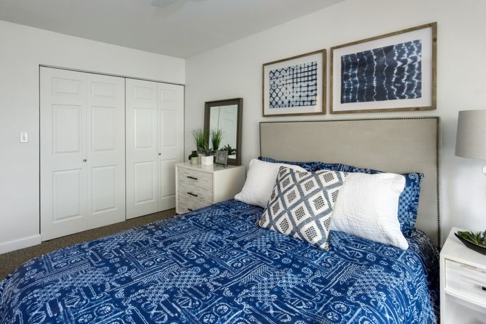 Cozy bedroom featuring a stylish blue patterned bedspread, contemporary artwork, and lush greenery for a tranquil ambiance.