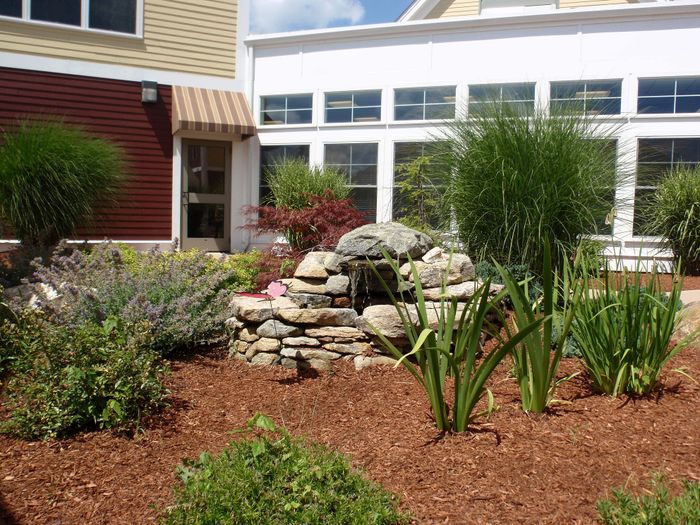 Charming apartment exterior featuring lush landscaping with vibrant greenery and a stone accent wall under a sunny blue sky.