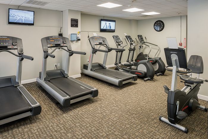 Modern fitness center featuring multiple treadmills and exercise bikes, offering a vibrant space for a healthy lifestyle.