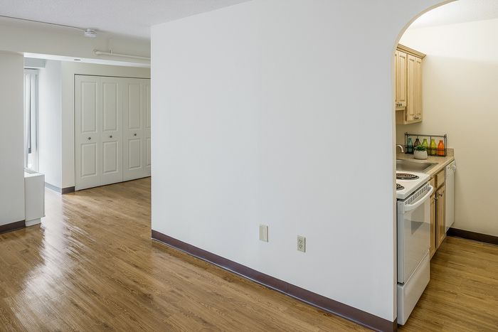 Bright open space featuring elegant wood flooring, cozy kitchen nook with modern amenities, and spacious storage closets.