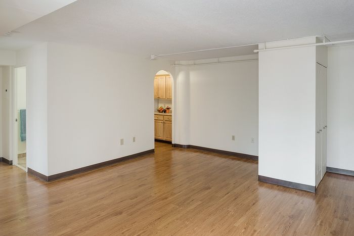 Spacious, modern apartment interior with warm wooden flooring, open layout, and a glimpse of a cozy kitchen.