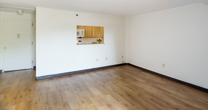 Bright and inviting open space with elegant wood flooring and a glimpse into a cozy kitchen area, perfect for modern living.