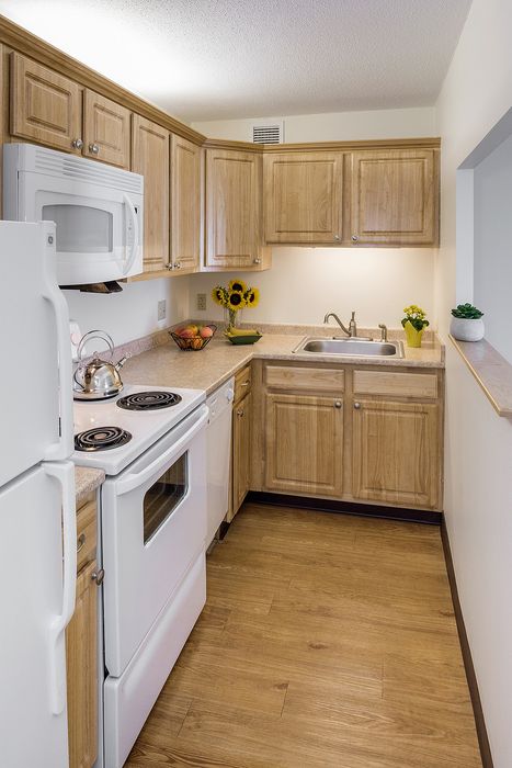 Charming kitchen with elegant wooden cabinets, modern appliances, and bright natural lighting.