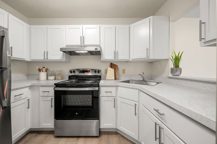 Modern kitchen with elegant white cabinetry, stainless steel appliances, and sleek countertops, accented by a chic plant.