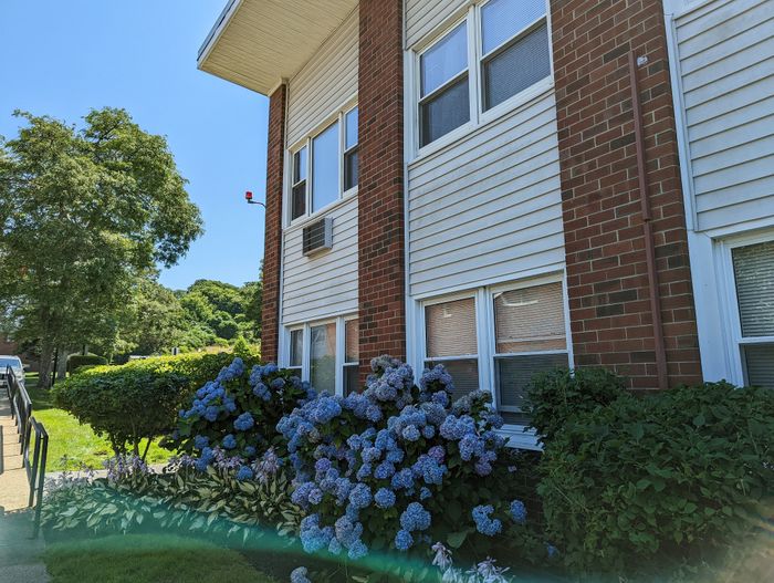 Charming apartment exterior with red brick and white siding, lush greenery, and vibrant blue hydrangeas under a clear blue sky.