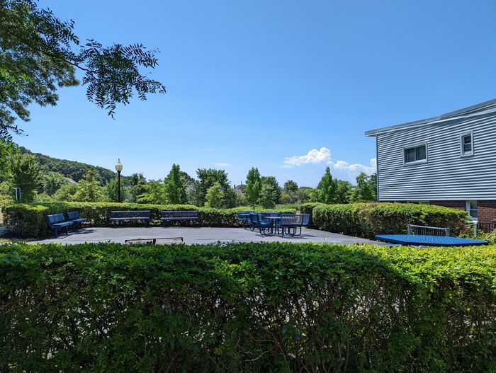 Inviting outdoor patio area featuring lush greenery, blue benches, and scenic views, perfect for relaxation and gatherings.