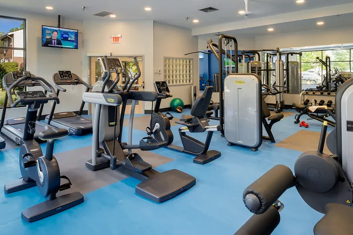 Upscale gym facility featuring modern cardio machines and a bright, inviting atmosphere.