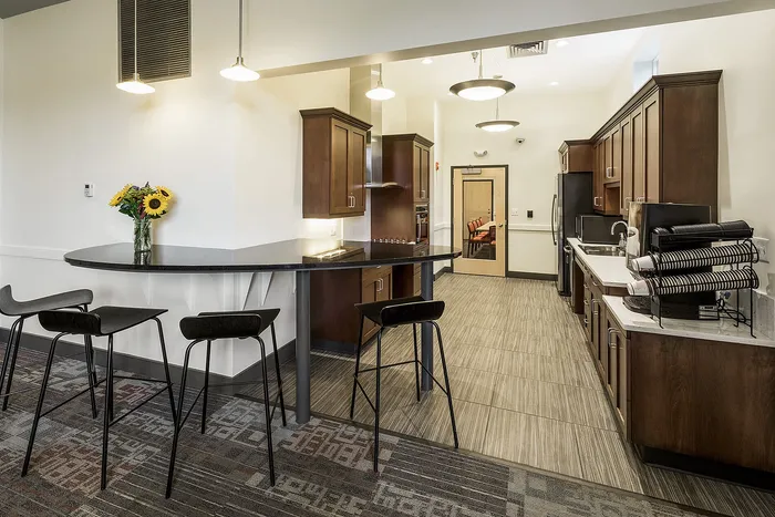 Modern kitchen space with elegant wooden cabinets, sleek countertops, and stylish bar seating. Bright and spacious with contemporary lighting and a touch of nature from a sunflower bouquet.