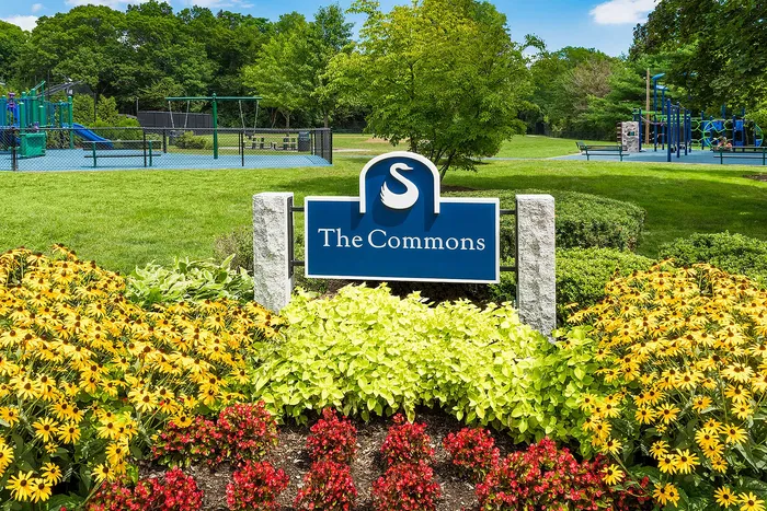 Vibrant park setting at The Commons, featuring lush greenery, colorful flowers, and a modern playground.