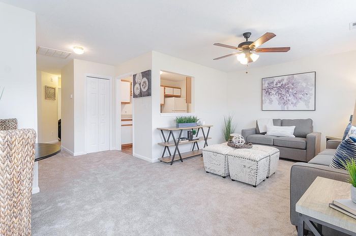 Inviting living room with plush carpet, cozy gray sofas, and stylish decor featuring neutral tones and natural accents.