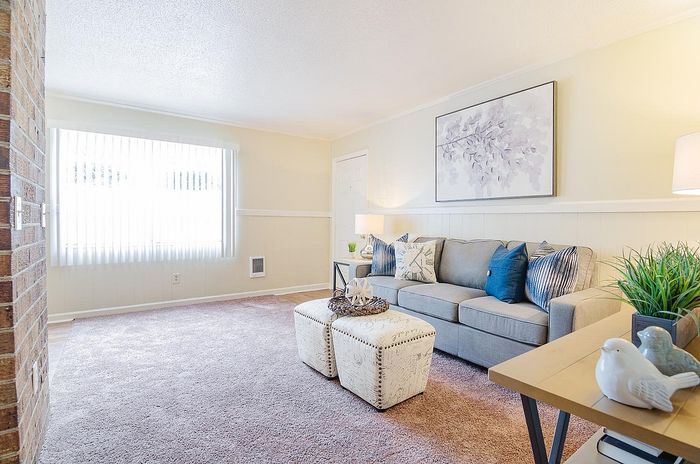 Bright, inviting living room with modern gray sofa, elegant decor, and soft natural light streaming through large windows.