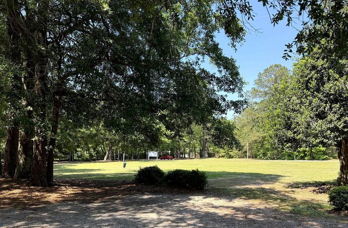 Serene park-like setting with lush green trees and an open grassy field, perfect for relaxation and outdoor activities.