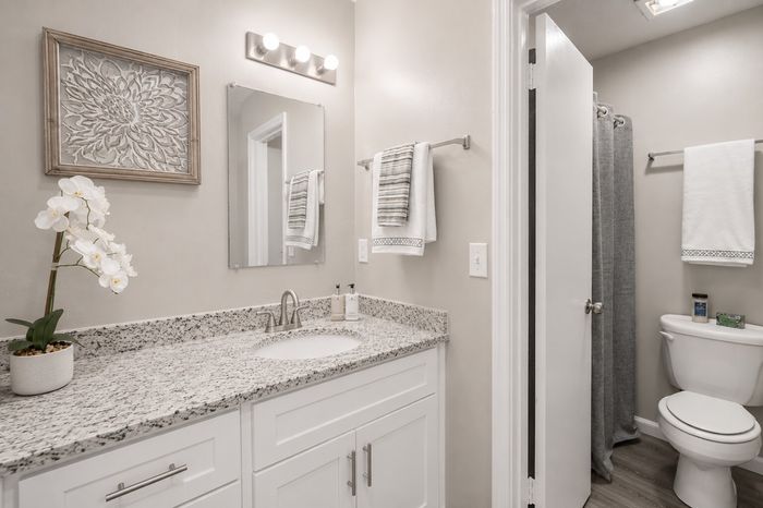 Elegant bathroom featuring a granite countertop, modern fixtures, and chic decor with bright lighting.
