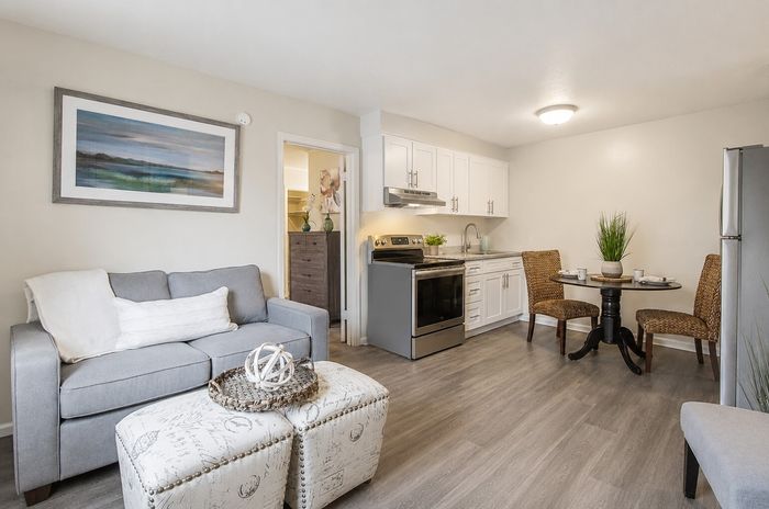 Cozy modern apartment living area featuring stylish gray sofa, elegant white kitchen, and intimate dining space with natural decor.