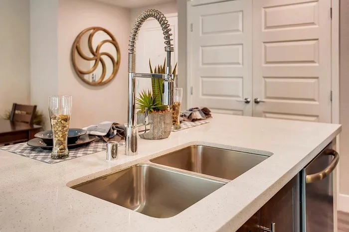 Elegant kitchen design featuring a modern double sink, sleek faucet, and stylish decor with a reflective wall mirror and plants.