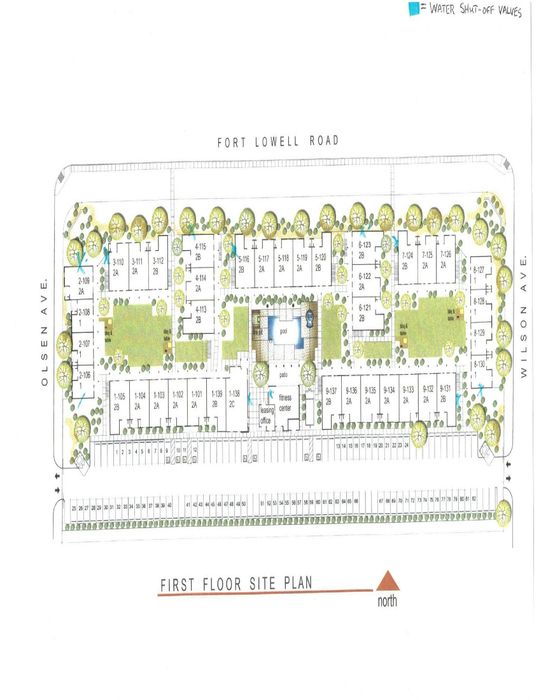 Comprehensive first floor site plan showcasing a well-designed residential complex with lush greenery, ample parking, swimming pool, fitness center, and leasing office, perfectly situated between Olsen and Wilson Avenue.