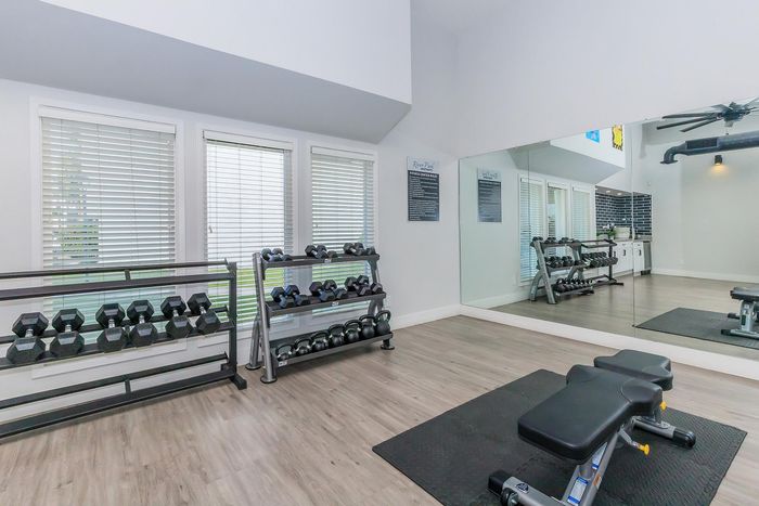 Contemporary fitness room with sleek dumbbell racks, large mirrors, and modern wood flooring for an energized workout atmosphere.